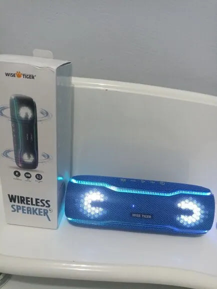 Premium Outdoor-Lautsprecher: Tragbar, IPX7 Wasserdicht, 25W, Buntes Licht, BT 5.3 Stereo-Soundbox | Kompatibel mit Apple